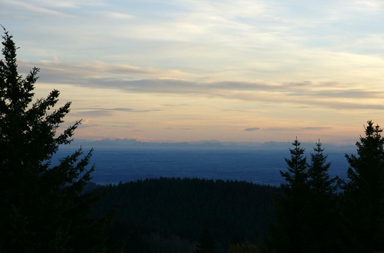 Alpenblick Apartment