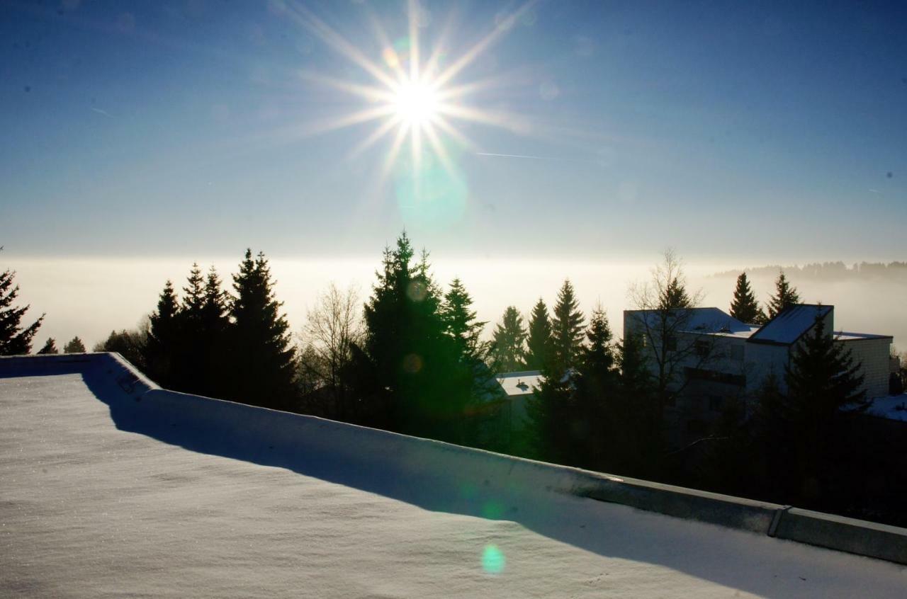 Alpenblick Apartment